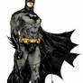 Batman - Videsh Colors