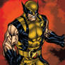 Wolverine - Mike Beals colors