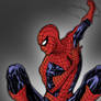 Spider-man May14th2013 By Shatteredweb