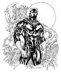 Black Panther in Wakanda fields