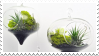 plants||stamp