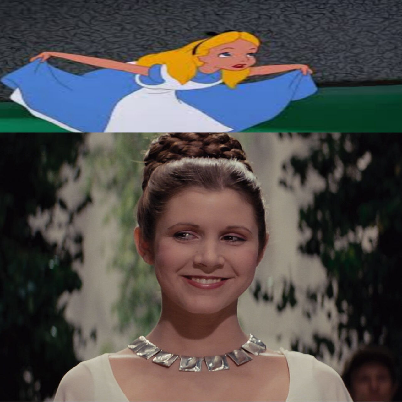 Alice Curtsies To Leia by superherofan2003 on DeviantArt