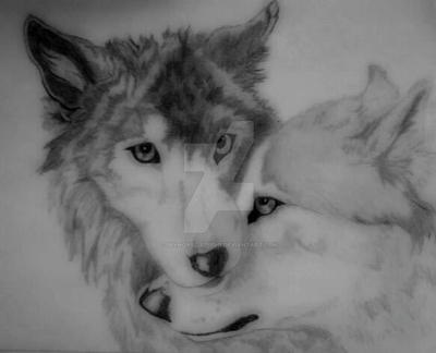 Pencil Drawing of Two Wolves by Skyhorse-Studio on DeviantArt