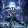 Black Cat