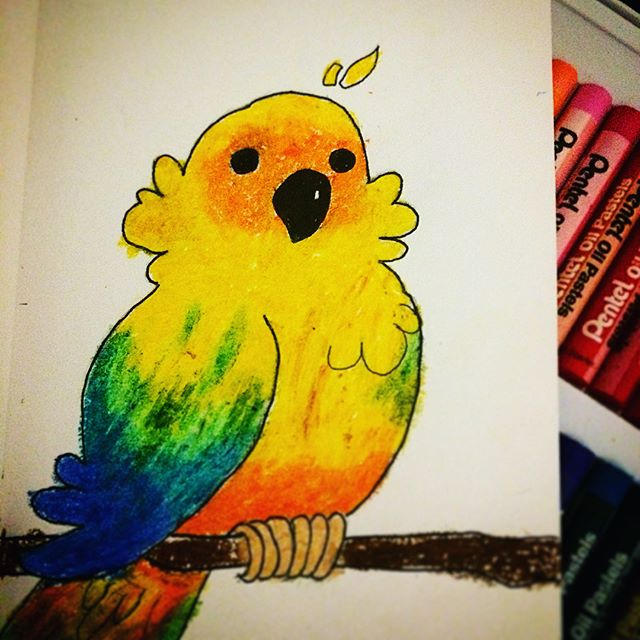 Sun Conure Drawing Tutorial Sun Conure Pastel Drawing by GigiDrawz29 on DeviantArt