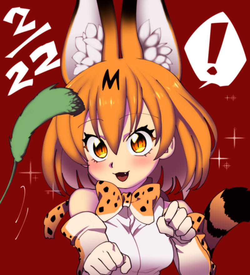 Serval [2/22 cat day]