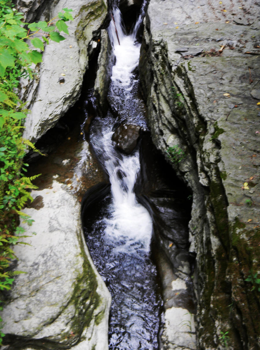 Robert H. Treman State Park 6