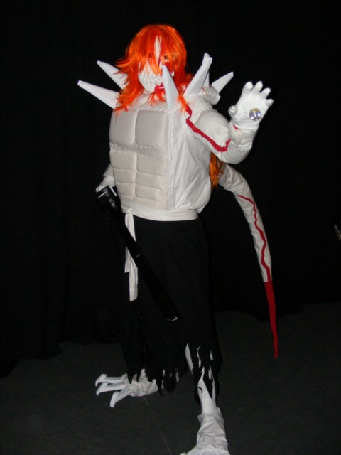 Vasto Lord Ichigo