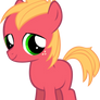 Little Macintosh Colt