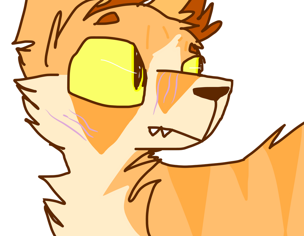 Random Cat Doodle by Hot---Chocolate on DeviantArt