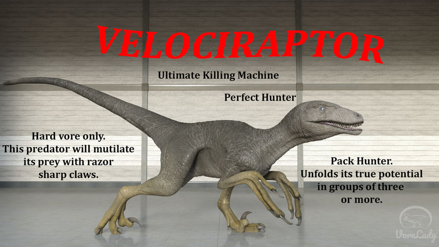 Velociraptor by realVoreLady on DeviantArt