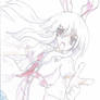 Reisen SWR Drawing