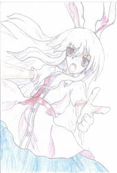 Reisen SWR Drawing