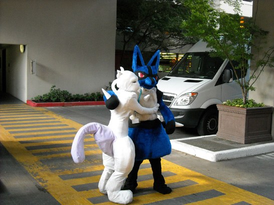 Lucario used Attract