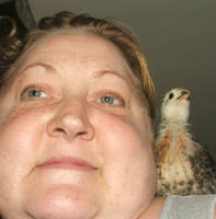 Cheep on the Shoulder