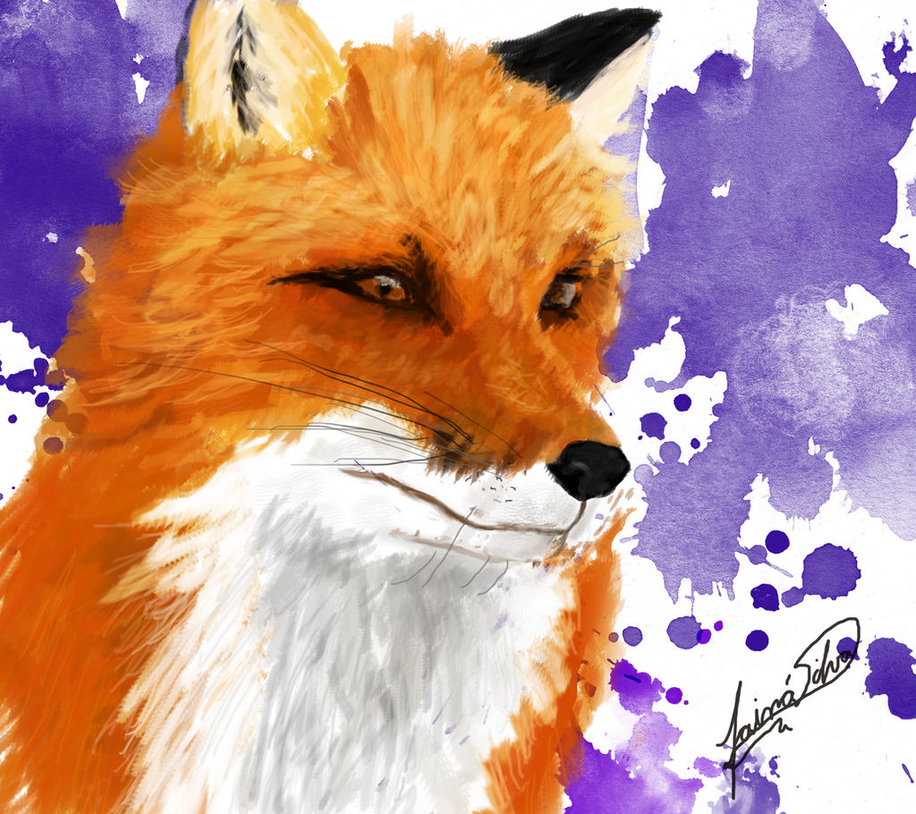 Red Fox