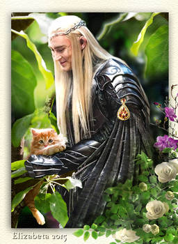 Thranduil and the one-eared kitten