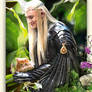 Thranduil and the one-eared kitten