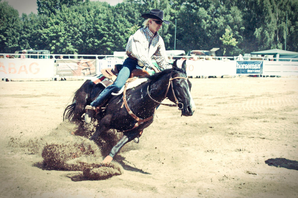 Rodeo rider and his mount by Driici on DeviantArt
