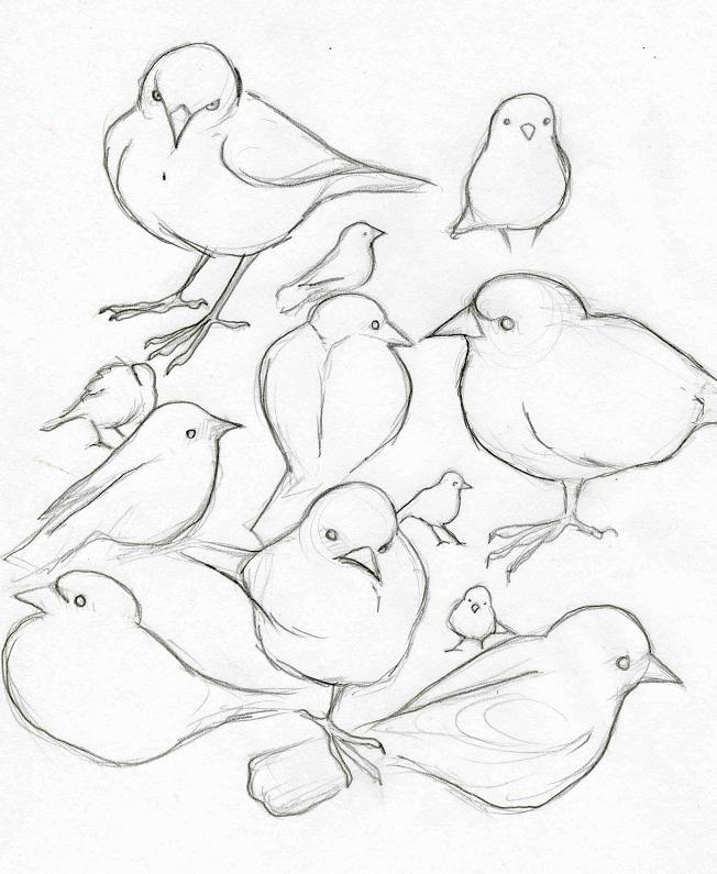 the birds