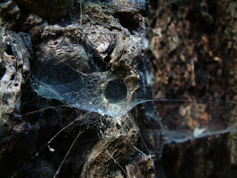 Monte Arci e La Tana Di Shelob