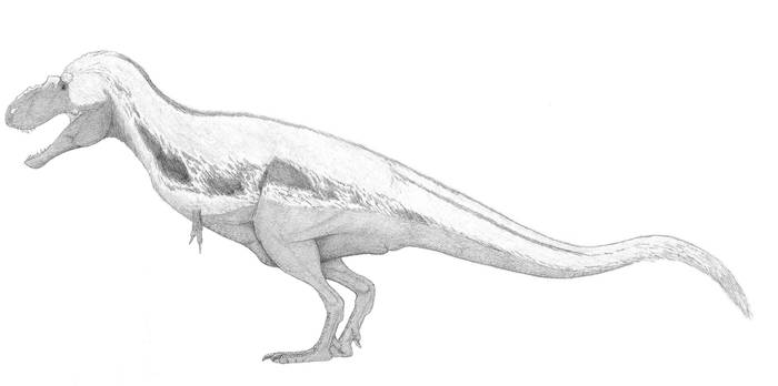 A Conservative Lythronax