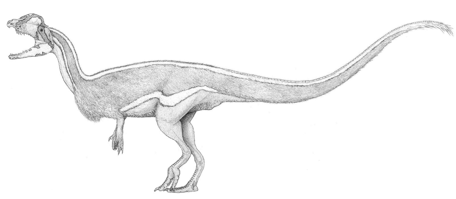 A Sleek Dilophosaur