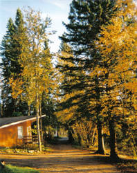 The cabin