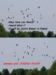 Justin Bieber in Poland by K6mil