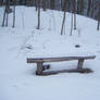 Winter Park Bench