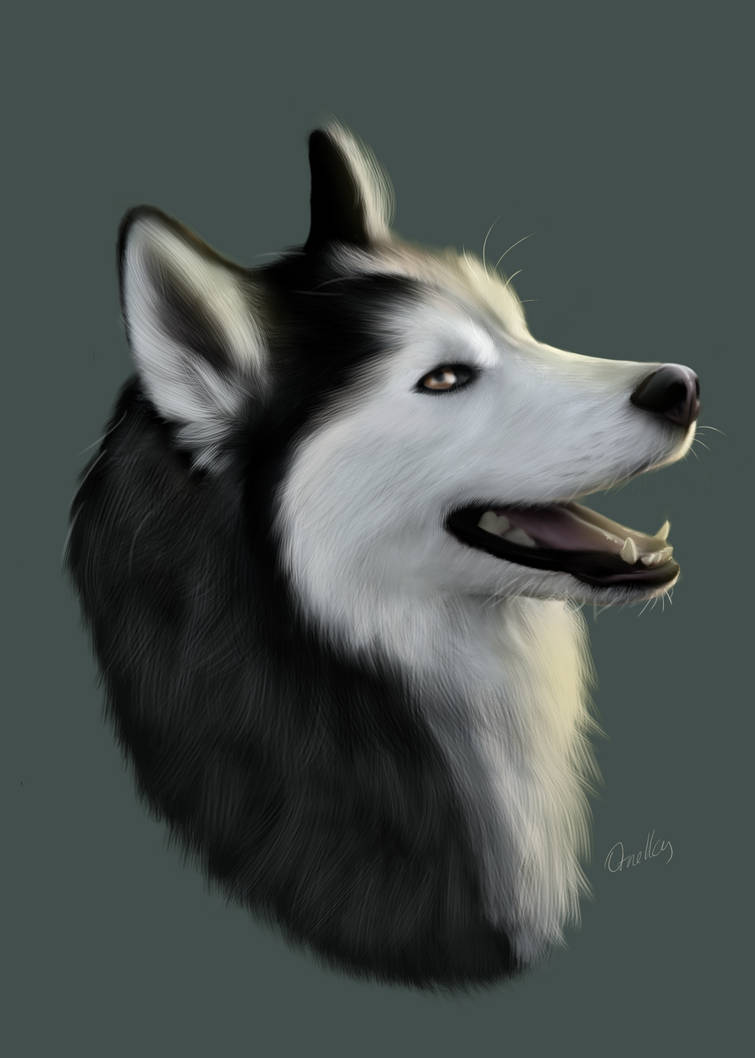 Husky Deviantart Husky portrait by NellyBears on DeviantArt