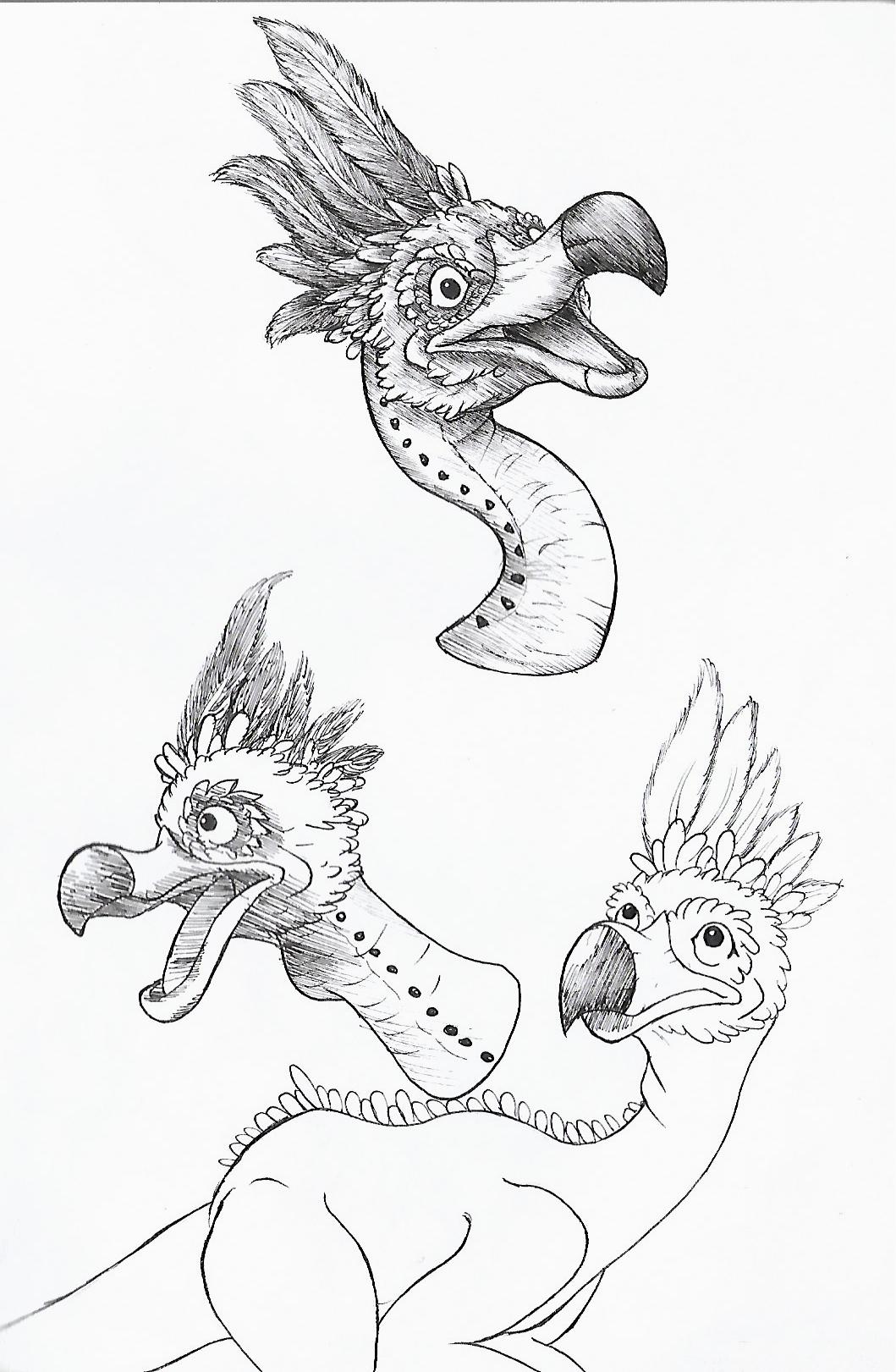 Kulu ya-Ku (monster hunter fanart) by Fluffy-foxlady on DeviantArt