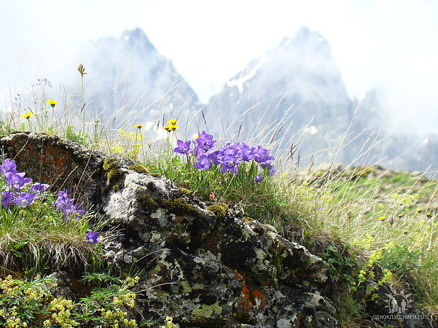 Georgia, Khevsureti, Roshka