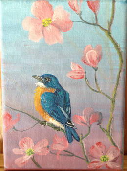 Spring Bluebird