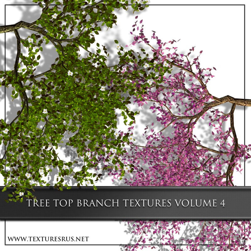 Tree Branch Textures by roseenglish on DeviantArt