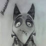 Frankenweenie