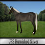 JFS Burnished Silver