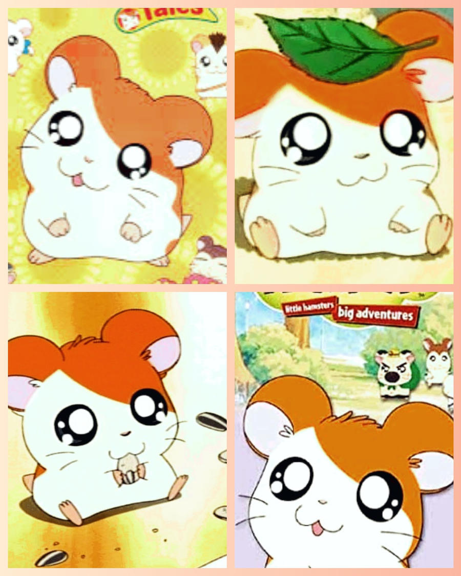 CT) Cutest Anime Hamster by MagicalMarissa on DeviantArt