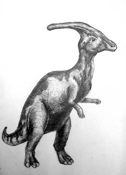 Parasaurolophus