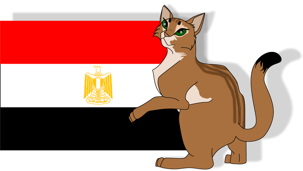 Egypt - Abyssian Cat