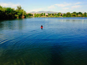 Inaugural Swim