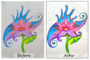 BEFORE and AFTER - Colorful Beauty
