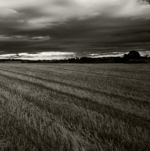 Field Of Storm