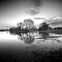 Anacotty Flood I