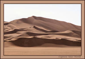 Satin Dunes