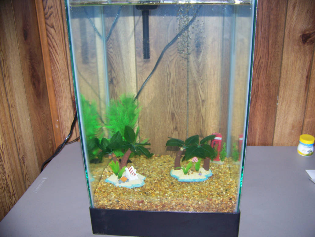 Fish Tank Without Fish My fish tank without fish by jhwink on DeviantArt