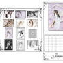 2008 Calendar release