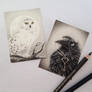 ACEO - Snow Owl and Raven's Key