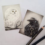 ACEO - Snow Owl and Raven's Key by Zindy