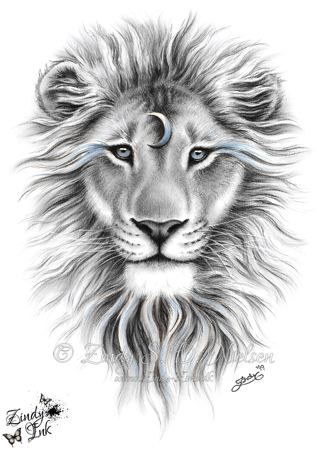 Spirit Animal Drawings